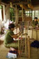 /album/galerie-de-photos-chiang-mai/fred4750-jpg/