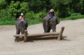 /album/camp-des-elephants-spectacle/fred4904-jpg/